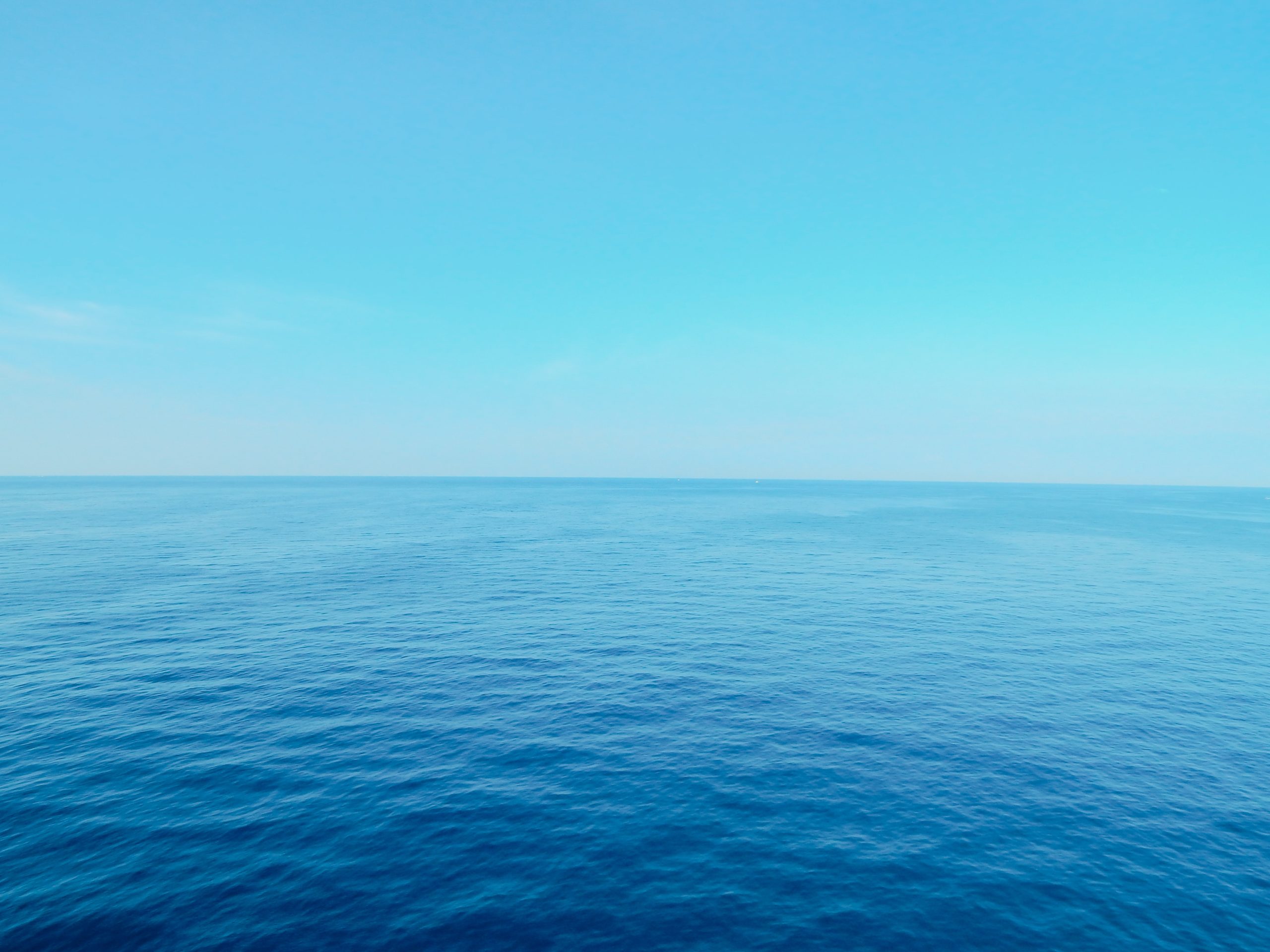 sarah-brown-ZoQNk6lRUHM-unsplash