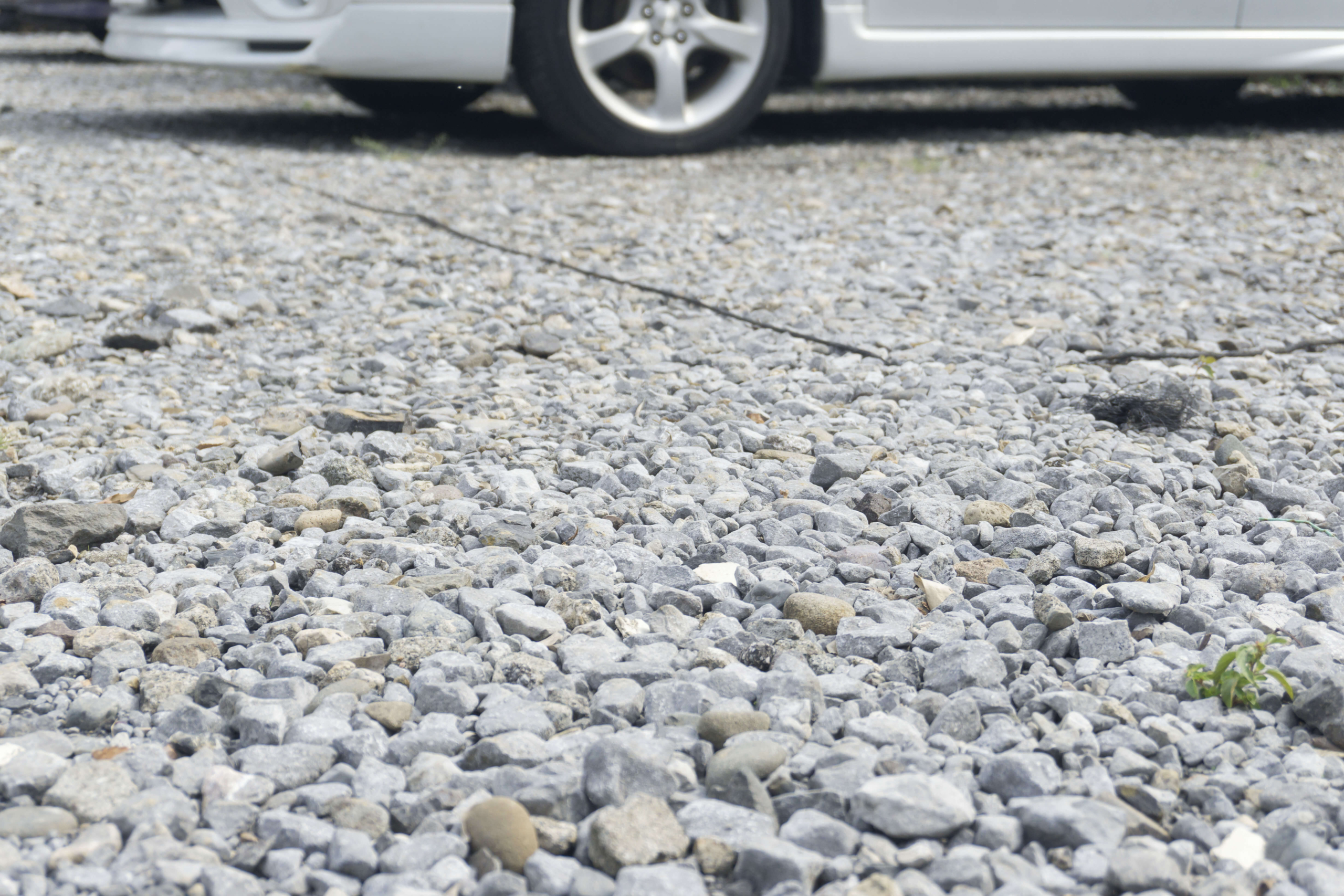 AdobeStock_293726275 (1)