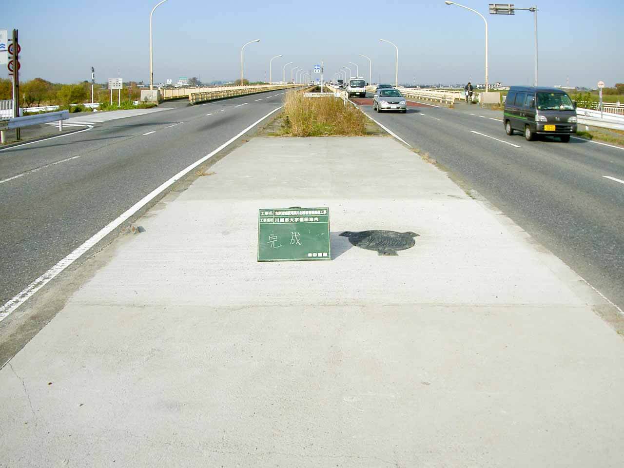 P0000008