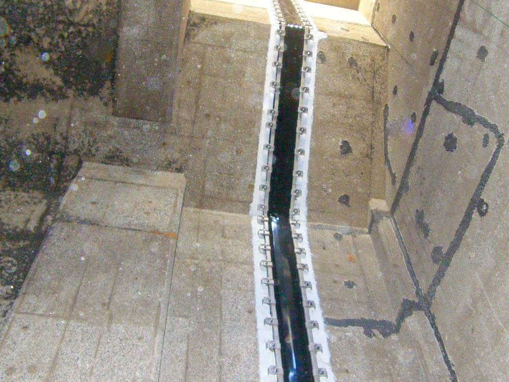 RIMG6713