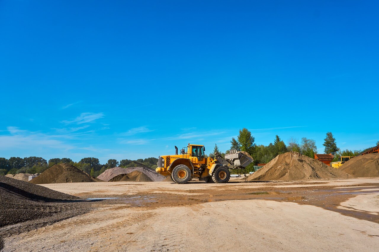 gravel-plant-gb46f431d6_1280 (1)